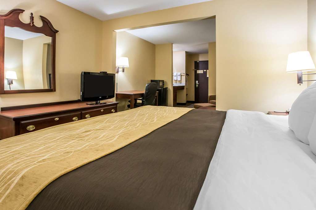 Quality Inn & Suites Mendota Near I-39 Rum bild
